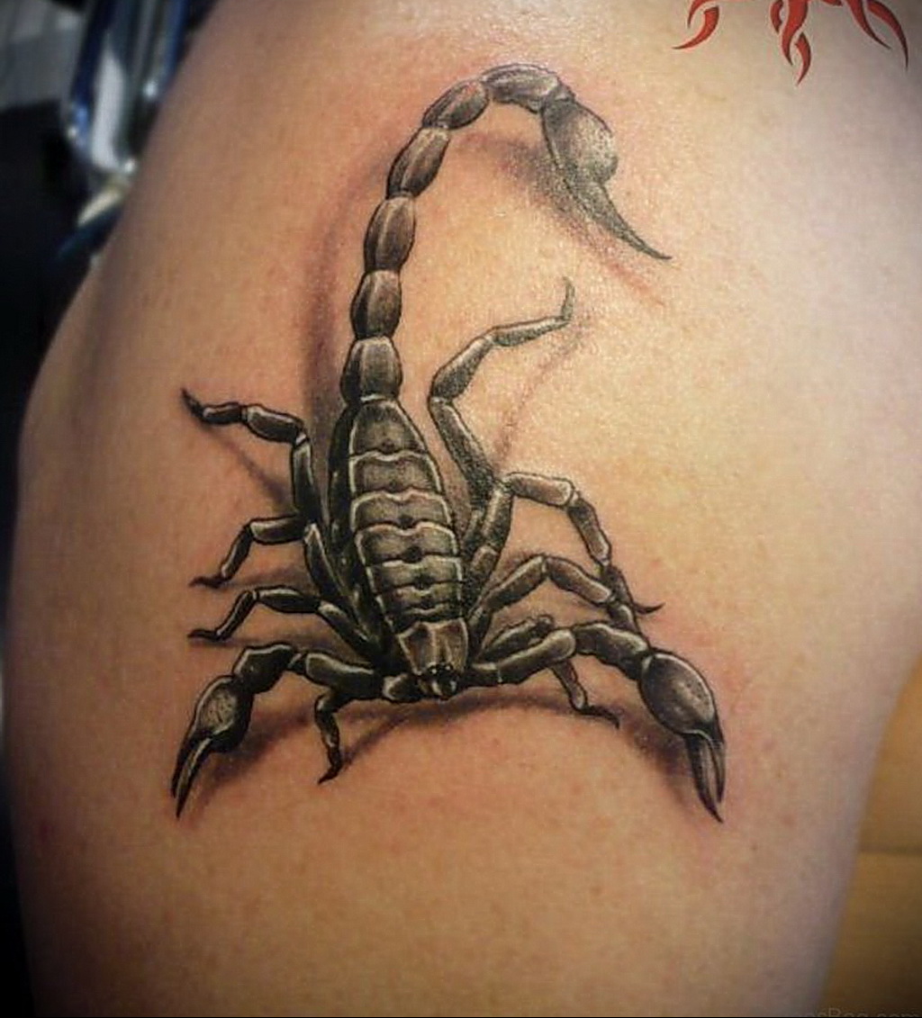 Фото Тату скорпион на плече 16.01.2021 № 0040 -scorpion tattoo on shoulder-...
