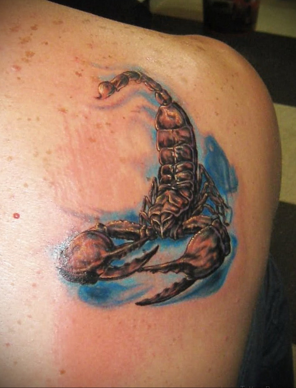 татуировка скорпион у мужчин на груди фото 50