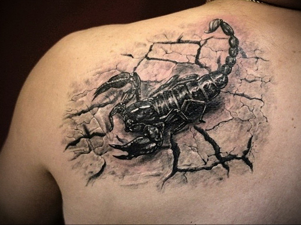 Фото тату скорпион на спине 16.01.2021 № 0027 -scorpion back tattoo- tatufo...