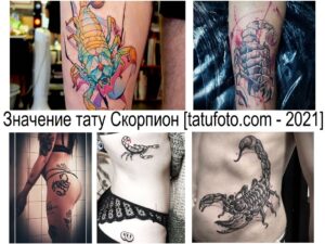 Коллаж из нескольких фотографий татуировок скорпионов в разных стилях и цветовых решениях. Разнообразие идей для вдохновения.