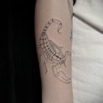 Пример классного рисунка тату скорпион 16.01.2021 №0027 -scorpion tattoo-tatufoto.com