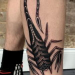 Пример классного рисунка тату скорпион 16.01.2021 №0029 -scorpion tattoo-tatufoto.com