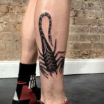 Пример классного рисунка тату скорпион 16.01.2021 №0030 -scorpion tattoo-tatufoto.com