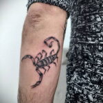 Пример классного рисунка тату скорпион 16.01.2021 №0054 -scorpion tattoo-tatufoto.com