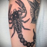 Пример классного рисунка тату скорпион 16.01.2021 №0082 -scorpion tattoo-tatufoto.com