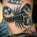 Пример классного рисунка тату скорпион 16.01.2021 №0085 -scorpion tattoo-tatufoto.com