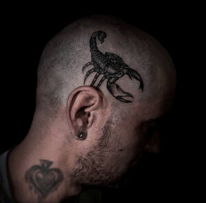 Пример классного рисунка тату скорпион 16.01.2021 №0101 -scorpion tattoo-tatufoto.com