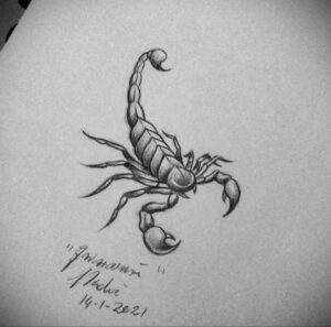 Пример классного рисунка тату скорпион 16.01.2021 №0102 -scorpion tattoo-tatufoto.com