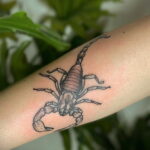 Пример классного рисунка тату скорпион 16.01.2021 №0126 -scorpion tattoo-tatufoto.com