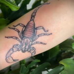 Пример классного рисунка тату скорпион 16.01.2021 №0127 -scorpion tattoo-tatufoto.com