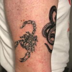 Пример классного рисунка тату скорпион 16.01.2021 №0128 -scorpion tattoo-tatufoto.com