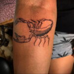 Пример классного рисунка тату скорпион 16.01.2021 №0132 -scorpion tattoo-tatufoto.com