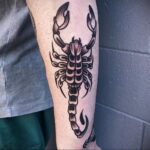 Пример классного рисунка тату скорпион 16.01.2021 №0136 -scorpion tattoo-tatufoto.com