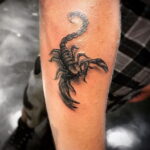 Пример классного рисунка тату скорпион 16.01.2021 №0142 -scorpion tattoo-tatufoto.com