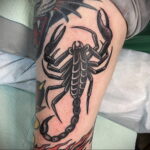 Пример рисунка татуировки скорпион 16.01.2021 №0001 -scorpion tattoo- tatufoto.com