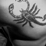 Пример рисунка татуировки скорпион 16.01.2021 №0004 -scorpion tattoo- tatufoto.com