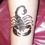 Пример рисунка татуировки скорпион 16.01.2021 №0010 -scorpion tattoo- tatufoto.com
