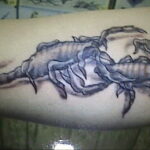Пример рисунка татуировки скорпион 16.01.2021 №0020 -scorpion tattoo- tatufoto.com