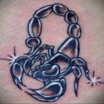 Пример рисунка татуировки скорпион 16.01.2021 №0032 -scorpion tattoo- tatufoto.com