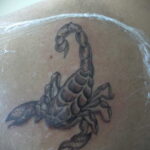 Пример рисунка татуировки скорпион 16.01.2021 №0037 -scorpion tattoo- tatufoto.com