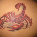 Пример рисунка татуировки скорпион 16.01.2021 №0045 -scorpion tattoo- tatufoto.com