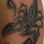 Пример рисунка татуировки скорпион 16.01.2021 №0049 -scorpion tattoo- tatufoto.com