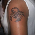 Пример рисунка татуировки скорпион 16.01.2021 №0065 -scorpion tattoo- tatufoto.com