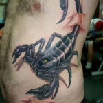 Пример рисунка татуировки скорпион 16.01.2021 №0068 -scorpion tattoo- tatufoto.com