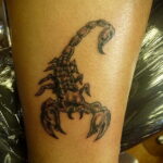 Пример рисунка татуировки скорпион 16.01.2021 №0069 -scorpion tattoo- tatufoto.com