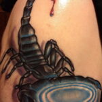 Пример рисунка татуировки скорпион 16.01.2021 №0070 -scorpion tattoo- tatufoto.com