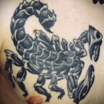 Пример рисунка татуировки скорпион 16.01.2021 №0079 -scorpion tattoo- tatufoto.com