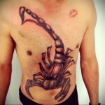 Пример рисунка татуировки скорпион 16.01.2021 №0080 -scorpion tattoo- tatufoto.com