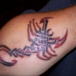 Пример рисунка татуировки скорпион 16.01.2021 №0102 -scorpion tattoo- tatufoto.com