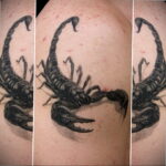 Пример рисунка татуировки скорпион 16.01.2021 №0103 -scorpion tattoo- tatufoto.com