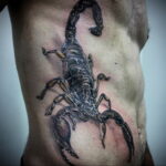 Пример рисунка татуировки скорпион 16.01.2021 №0104 -scorpion tattoo- tatufoto.com