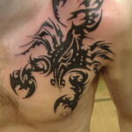 Пример рисунка татуировки скорпион 16.01.2021 №0111 -scorpion tattoo- tatufoto.com