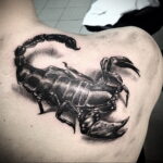 Пример рисунка татуировки скорпион 16.01.2021 №0115 -scorpion tattoo- tatufoto.com