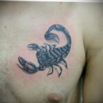 Пример рисунка татуировки скорпион 16.01.2021 №0117 -scorpion tattoo- tatufoto.com