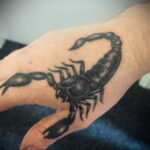 Пример рисунка татуировки скорпион 16.01.2021 №0127 -scorpion tattoo- tatufoto.com