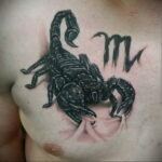 Пример рисунка татуировки скорпион 16.01.2021 №0131 -scorpion tattoo- tatufoto.com
