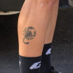 Пример рисунка татуировки скорпион 16.01.2021 №0146 -scorpion tattoo- tatufoto.com