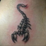 Пример рисунка татуировки скорпион 16.01.2021 №0147 -scorpion tattoo- tatufoto.com