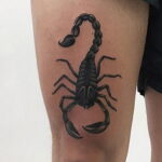Пример рисунка татуировки скорпион 16.01.2021 №0179 -scorpion tattoo- tatufoto.com