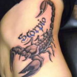 Пример рисунка татуировки скорпион 16.01.2021 №0195 -scorpion tattoo- tatufoto.com