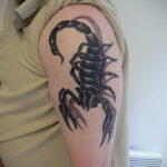 Пример рисунка татуировки скорпион 16.01.2021 №0201 -scorpion tattoo- tatufoto.com