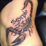 Пример рисунка татуировки скорпион 16.01.2021 №0205 -scorpion tattoo- tatufoto.com