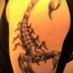 Пример рисунка татуировки скорпион 16.01.2021 №0210 -scorpion tattoo- tatufoto.com