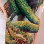 Тату в стиле реализм змея 02.01.2021 №006 -snake tattoo realism- tatufoto.com