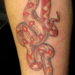 Тату в стиле реализм змея 02.01.2021 №091 -snake tattoo realism- tatufoto.com