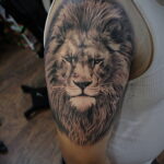 Тату в стиле реализм со львом 02.01.2021 №107 -lion tattoo realism- tatufoto.com
